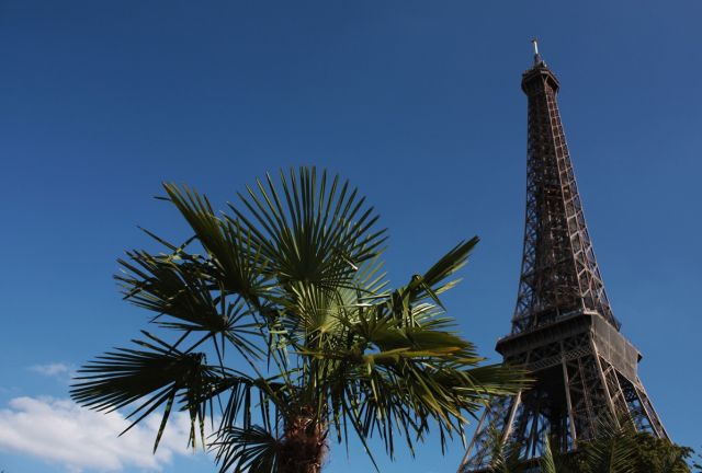 Zdjęcia: Paryż, Aifla pod palmą...., FRANCJA Zdjęcia: Paryż, Aifla pod palmą...., FRANCJA