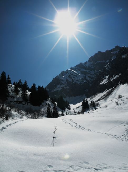 Zdjęcia: Okolice Col des Aravis, Haut Savoie, Moje wedrowanie, FRANCJA Zdjęcia: Okolice Col des Aravis, Haut Savoie, Moje wedrowanie, FRANCJA