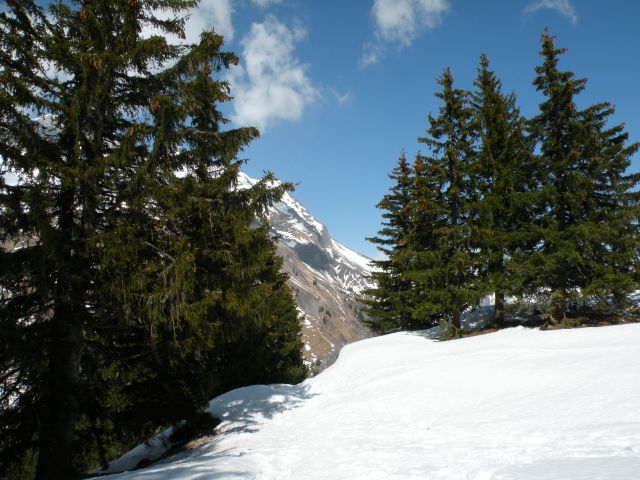 Zdjęcia: Okolice Col des Aravis, Haut Savoie, Moje wedrowanie, FRANCJA Zdjęcia: Okolice Col des Aravis, Haut Savoie, Moje wedrowanie, FRANCJA