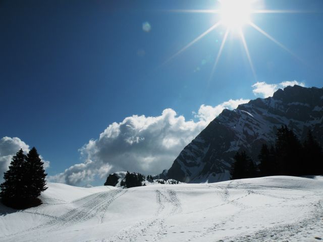 Zdjęcia: Okolice Col des Aravis, Haut Savoie, Moje wedrowanie, FRANCJA Zdjęcia: Okolice Col des Aravis, Haut Savoie, Moje wedrowanie, FRANCJA