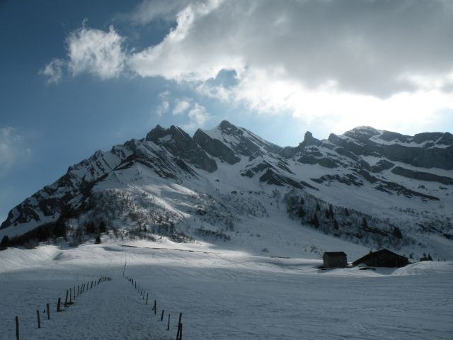 Zdjęcia: Okolice Col des Aravis, Haut Savoie, Moje wedrowanie, FRANCJA Zdjęcia: Okolice Col des Aravis, Haut Savoie, Moje wedrowanie, FRANCJA