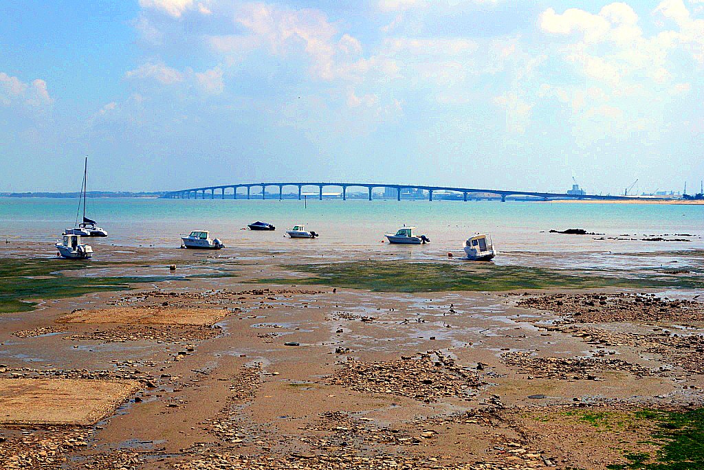 Zdjęcia: Île de Ré, Francja, Odpływ , FRANCJA Zdjęcia: Île de Ré, Francja, Odpływ , FRANCJA