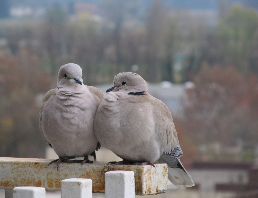 Zdjęcia: Grenoble, Rodan-Alpy, głębokie spojrzenie, FRANCJA Zdjęcia: Grenoble, Rodan-Alpy, głębokie spojrzenie, FRANCJA