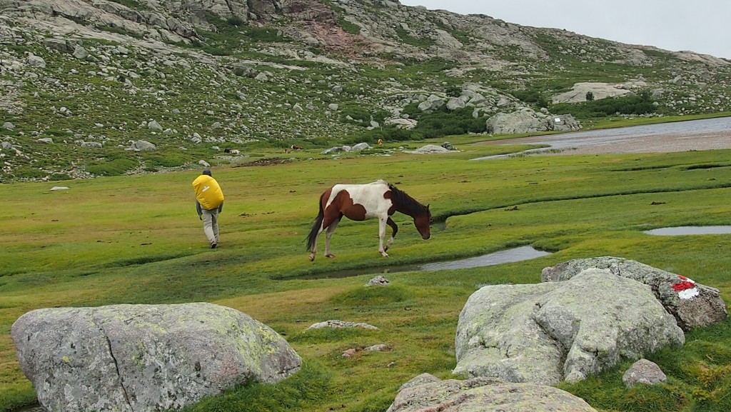 Zdjęcia: szlak GR20, Korsyka, Korsyka GR20, FRANCJA Zdjęcia: szlak GR20, Korsyka, Korsyka GR20, FRANCJA