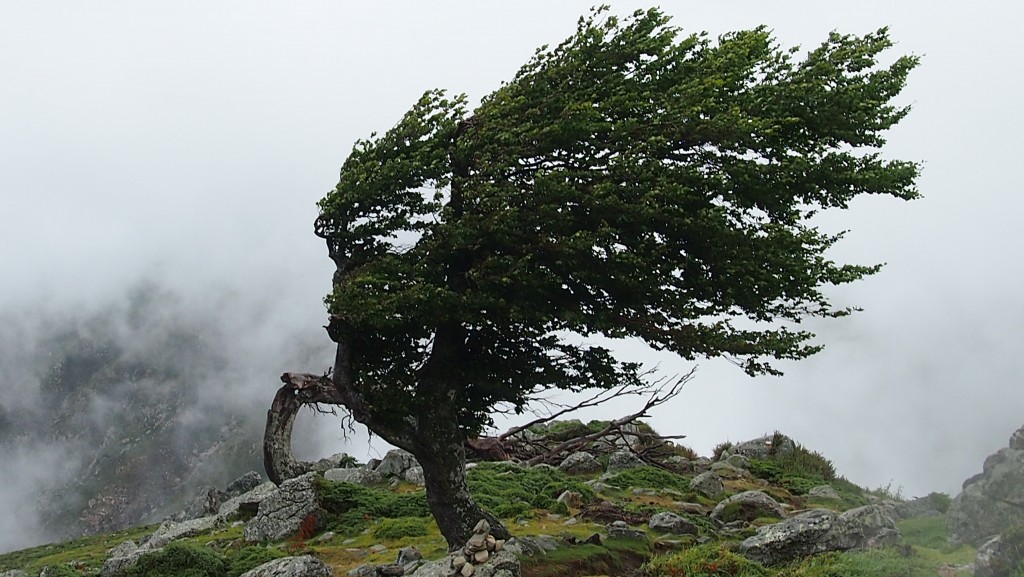 Zdjęcia: szlak GR20, Korsyka, Korsyka GR20, FRANCJA Zdjęcia: szlak GR20, Korsyka, Korsyka GR20, FRANCJA