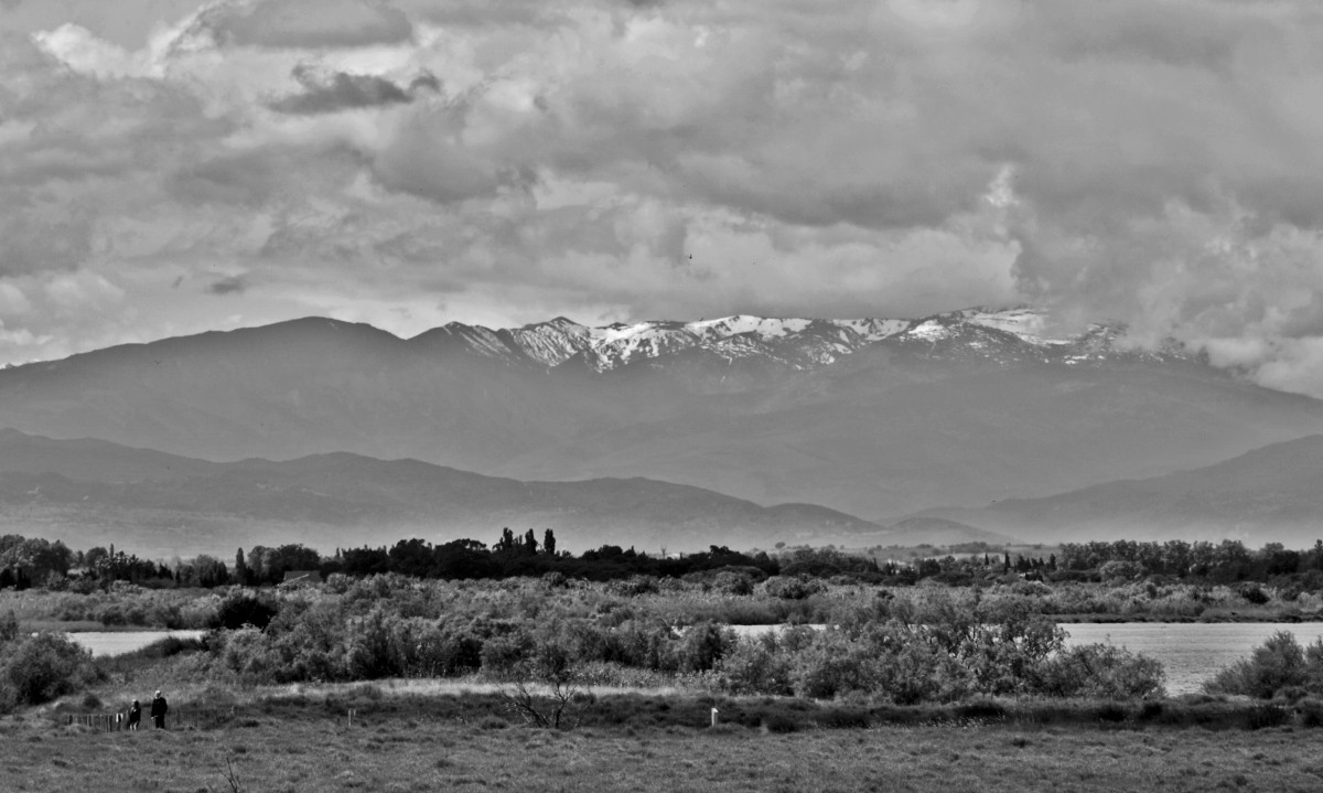 Zdjęcia: Canet-en-Roussillon, Pyrénées-Orientales, Pireneje, FRANCJA Zdjęcia: Canet-en-Roussillon, Pyrénées-Orientales, Pireneje, FRANCJA