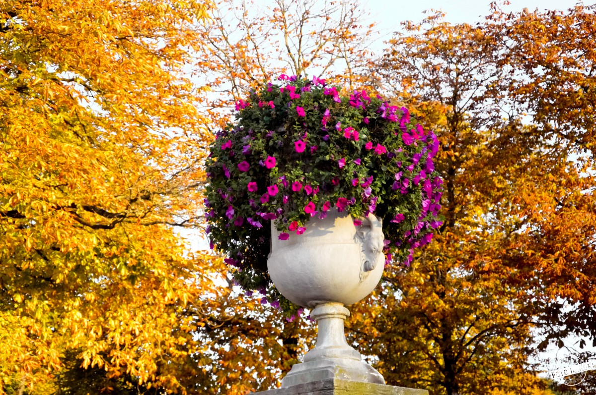 Zdjęcia: Ogród Luksemburski, Paryż, Ogród Luksemburski, FRANCJA Zdjęcia: Ogród Luksemburski, Paryż, Ogród Luksemburski, FRANCJA