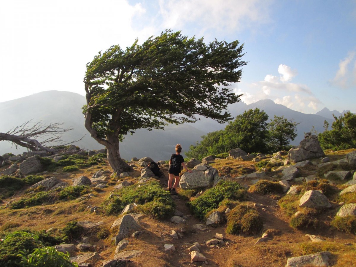Zdjęcia: Korsyka, Korsyka, GR20, FRANCJA Zdjęcia: Korsyka, Korsyka, GR20, FRANCJA
