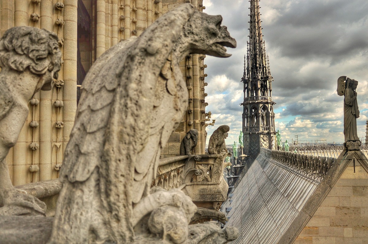 Zdjęcia: PARYŻ, Na dachu Notre Dame, FRANCJA Zdjęcia: PARYŻ, Na dachu Notre Dame, FRANCJA