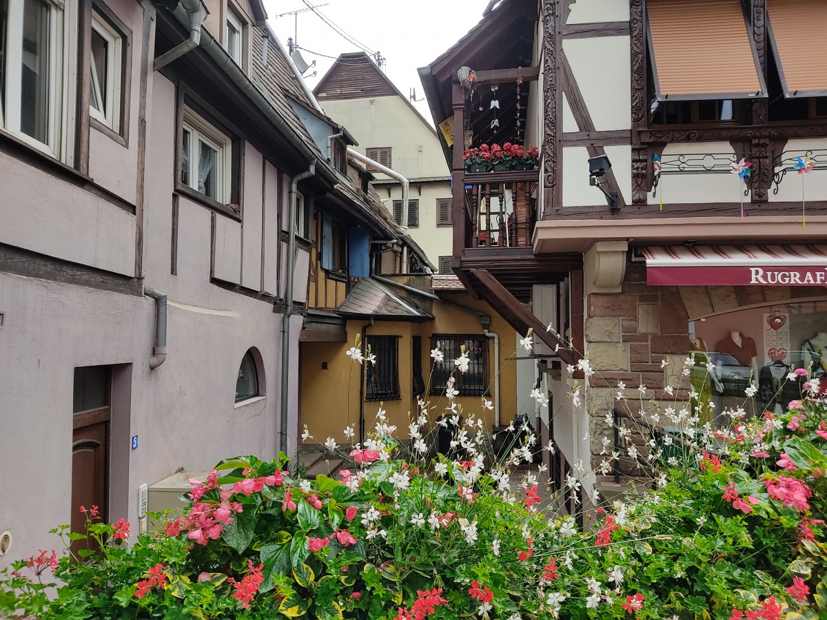 Zdjęcia: Obernai, Alzacja, uliczka , FRANCJA Zdjęcia: Obernai, Alzacja, uliczka , FRANCJA