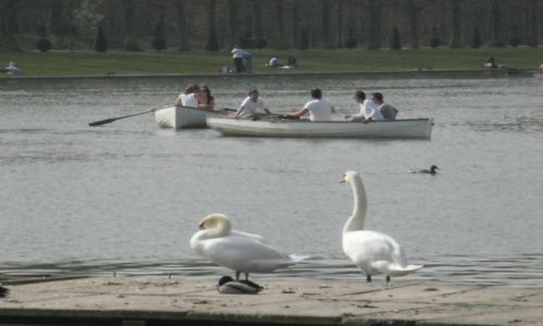 Zdjcie FRANCJA / - / Wersal / Na Wielkim Kanale