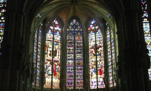Zdjecie FRANCJA / Gaskonia / Carcassonne / witrae