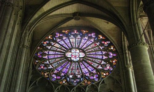 Zdjecie FRANCJA / Gaskonia / Carcassonne / witrae