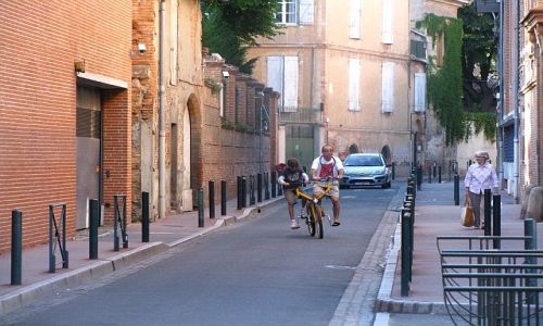 Zdjcie FRANCJA / Langwedocja-Roussillon / Tuluza / francuski tandem