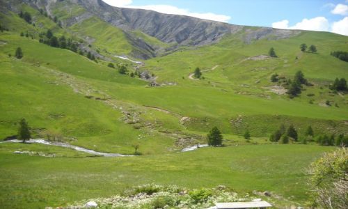 Zdjecie FRANCJA / Alpy / Col de la Bonette / Zielono
