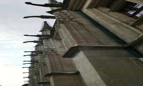 Zdjecie FRANCJA / Normandia / Rouen / FRANCUSKIE RZYGACZE