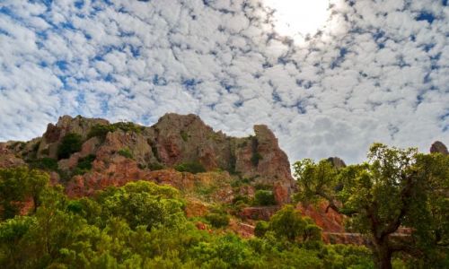 Zdjcie FRANCJA / Provance / Esterel Park / Przewit
