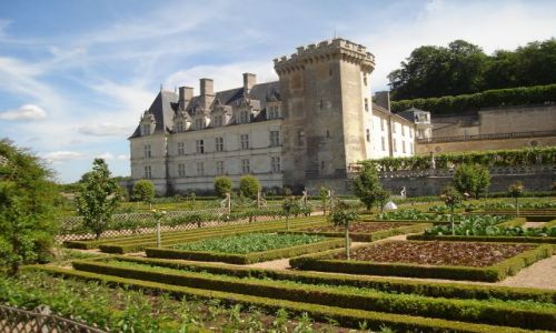 Zdjcie FRANCJA / rodkowa Francja / Villandry / Zamki nad Loar