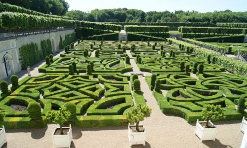 Zdjcie FRANCJA / rodkowa Francja / Villandry / Zamki nad Loar