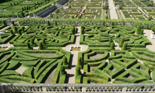 Zdjecie FRANCJA / rodkowa Francja / Villandry / Zamki nad Loar