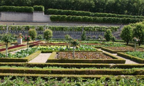 Zdjecie FRANCJA / rodkowa Francja / Villandry / Zamki nad Loar