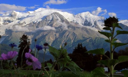 Zdjecie FRANCJA / Alpy / plaine joux / Masyw Mt Blanc
