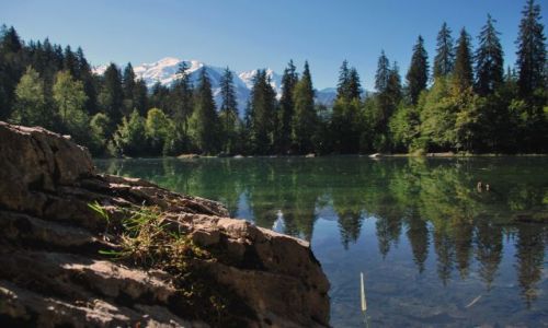 Zdjęcie FRANCJA / Alpy / plaine joux / Lac Vert