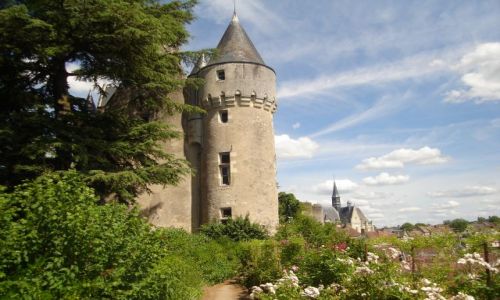 Zdjecie FRANCJA / rodkowa Francja / Tours / Zamki nad Loar