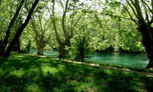 Zdjcie FRANCJA / Prowansja / Fontaine de Vaucluse  / Aleja platanowa nad rzek Sorgue 