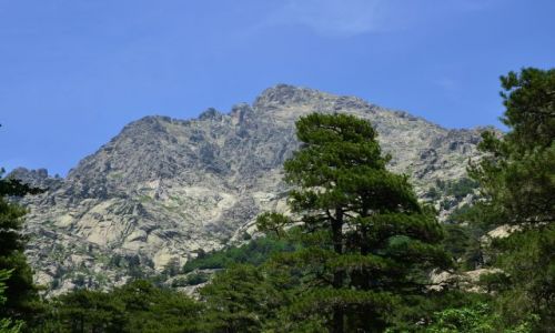 Zdjcie FRANCJA / Korsyka / Onda-Vizzavona / Na szlaku_8_9