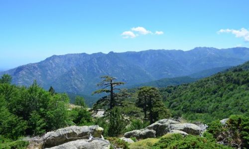 FRANCJA / Korsyka / Vizzavona-Capanelle / Na szlaku_9_6