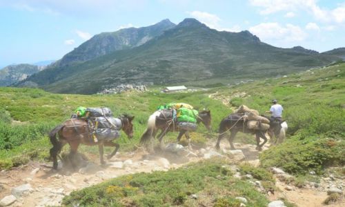 Zdjcie FRANCJA / Korsyka / Capanelle-Prati / Na szlaku_10_8