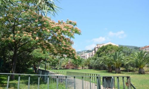 Zdjecie FRANCJA / Korsyka / Bastia park / Bastia_3