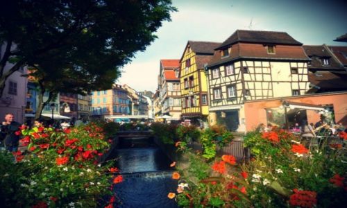 Zdjecie FRANCJA / Alzacja / Colmar / Colmar 1