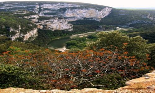 Zdjecie FRANCJA / Kraina Ardeche / rzeka Ardeche / Wwz rzeki Ardeche
