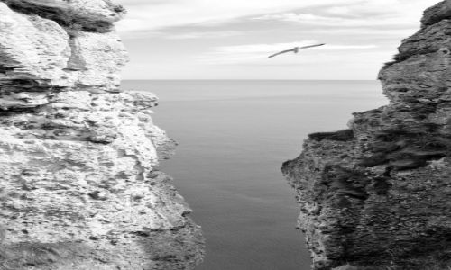 Zdjecie FRANCJA / Normandia / Etretat / Freedom