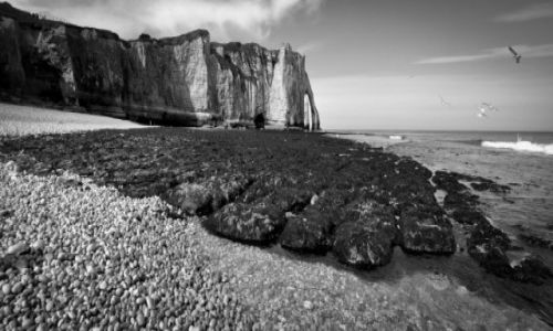 Zdjecie FRANCJA / Normandia / Etretat / Etretat