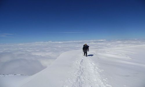 Zdjcie FRANCJA / Alpy  / Chamonix  / Alpy