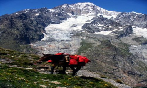 Zdjecie FRANCJA / Chamonix / Alpy / Tour de Mount Blanc
