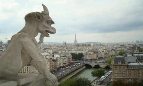 Zdjęcie FRANCJA / paryż / bazylika notre-dame / panorama paryża