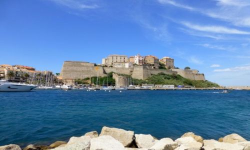 Zdjecie FRANCJA / Korsyka / Calvi / twierdza w Calvi
