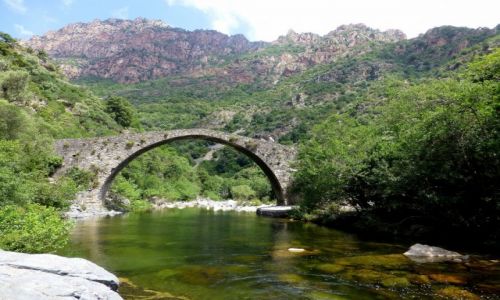 Zdjecie FRANCJA / Korsyka / okolice Porto / wdrwka do Wwozu La Spilonca