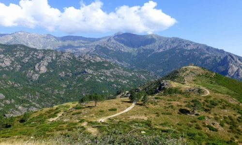 Zdjecie FRANCJA / Korsyka / w gbi wyspy / trasa z Corte na wschodnie wybrzee