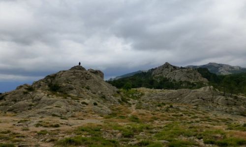 Zdjecie FRANCJA / Korsyka / w drodze do Porto Vecchio / punkt widokowy