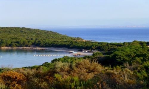 Zdj�cie FRANCJA / Korsyka / Camping La Rondinara / zatoka La Rondinara