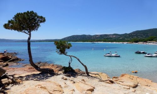 Zdjęcie FRANCJA / Korsyka / okolice Porto Vecchio / słynna plaża Palombagia