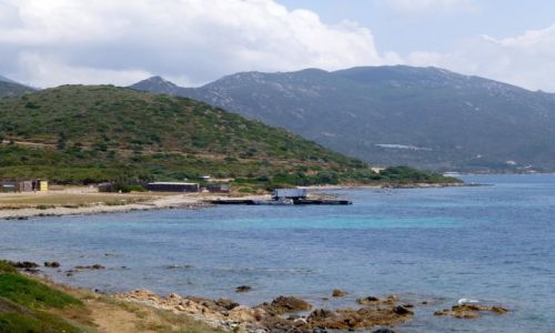 Zdjęcie FRANCJA / Korsyka / w drodze do Ajaccio / w drodze do Ajaccio