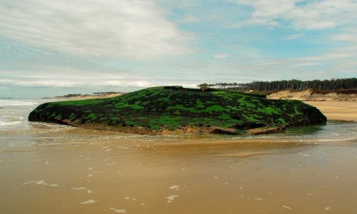 Zdjcie FRANCJA / aquitaine / L'amelie s/mer / old bunker