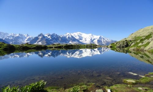 Zdjecie FRANCJA / - / Aiguilles Rouges / masyw Mont Blanc