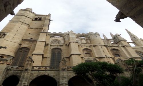 Zdjecie FRANCJA / Langwedocja / Narbonne / Katedra